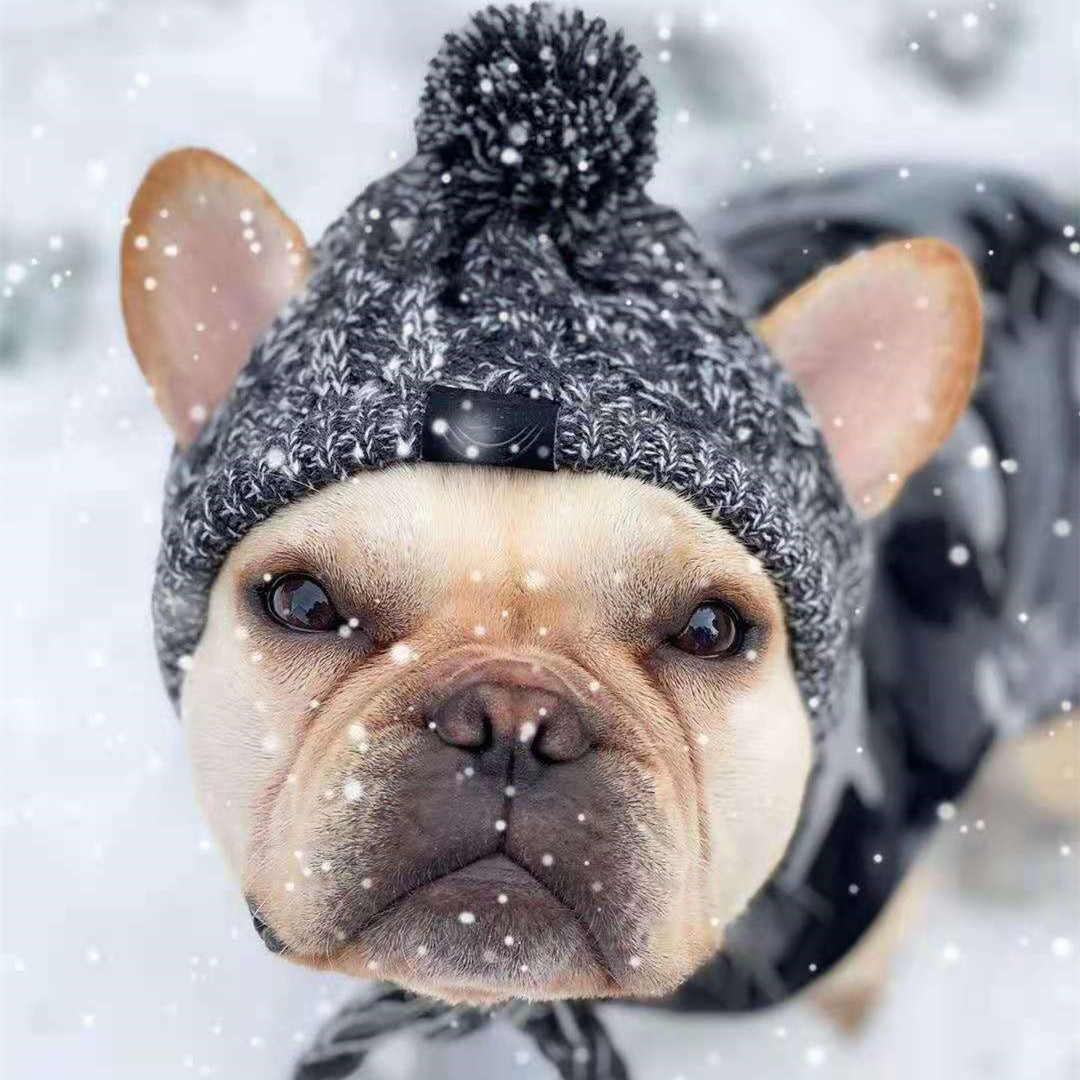 Gorras para perro Bulldog francés Pug, oso, gatito, cachorro, gorro de lana de punto, suministros para perro mascota, productos para invierno