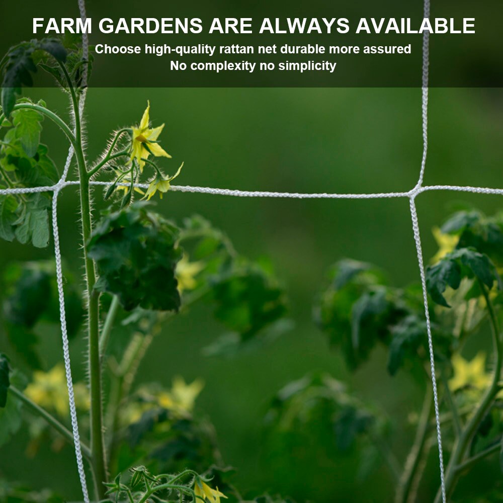 Hydroponics Garden Plant Support Vine Climbing Net Accessories Heavy-Duty Polyester Plant Trellis Netting Multi Use