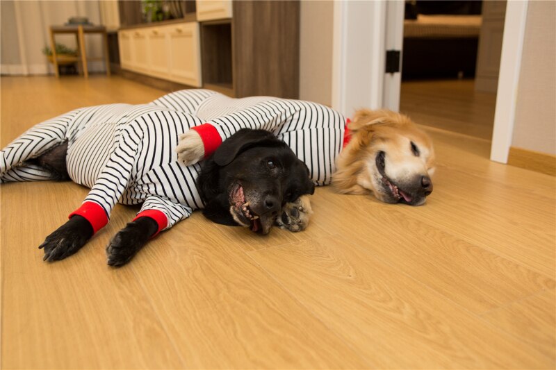 Große Hund Pyjama strecken groß Hund Kleidung Gesamt Schlafanzug Samojeden heiser Labrador golden Retriever Kleidung Nachtwäsche Kostüm