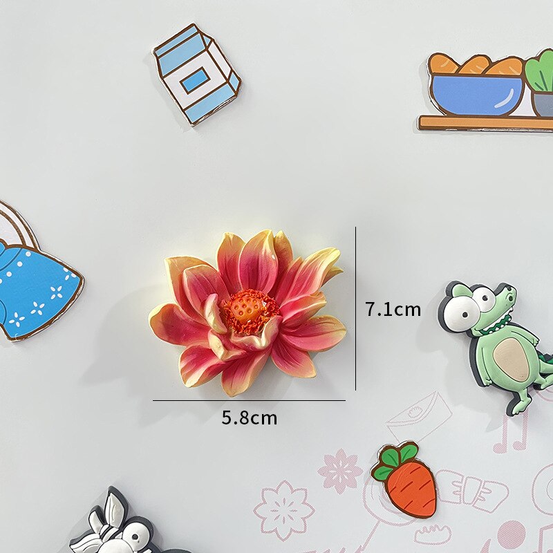 Beautiful Flowers Refrigerator Magnets Jasmine, Peony, Lotus, Rose, Sunflower, Succulent Cute Magnets for Fridge Kitchen Decor: Lotus