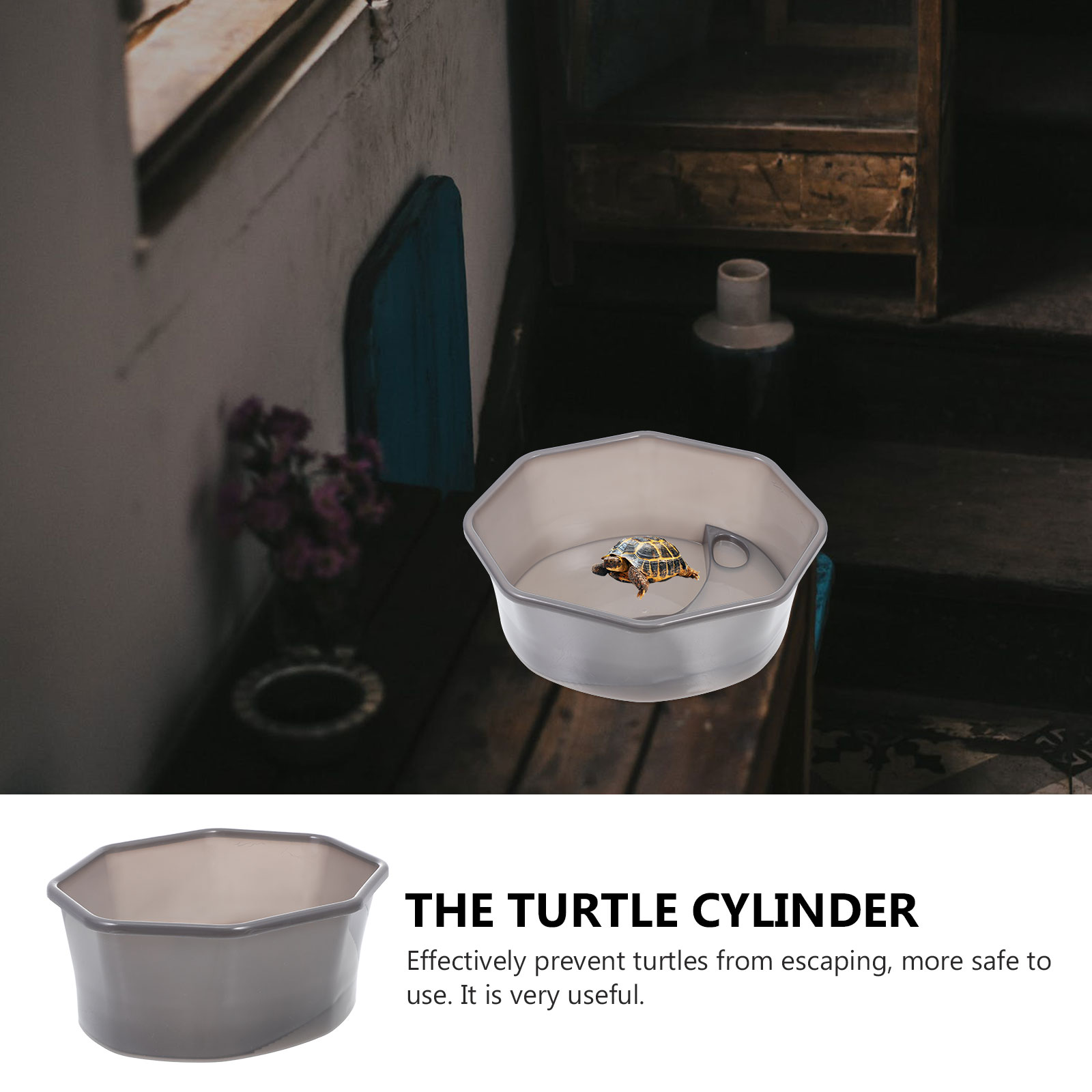 Semi-transparent Tortoise Tank Turtle Tank Household Reptile Tank Tortoise Accessory