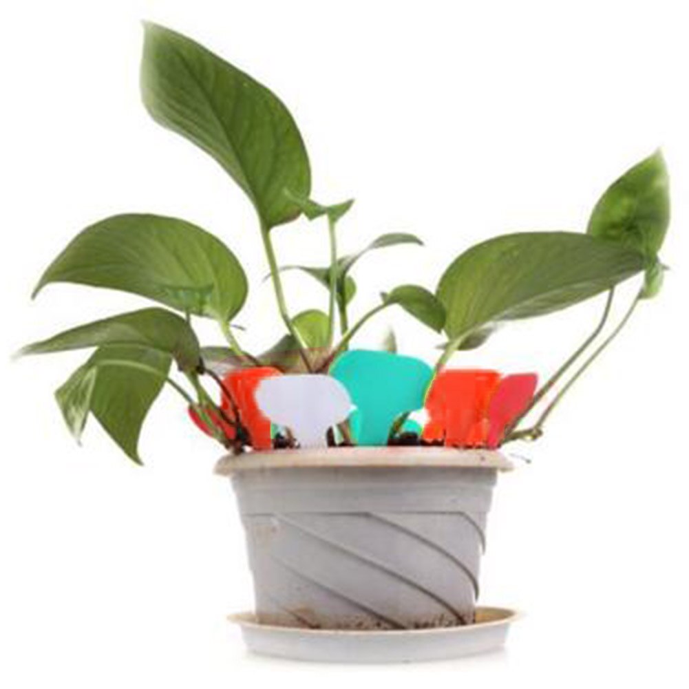 Nyeste 50 stk børnehave grå plastplante t-type markører plantemærker børnehaveremærker