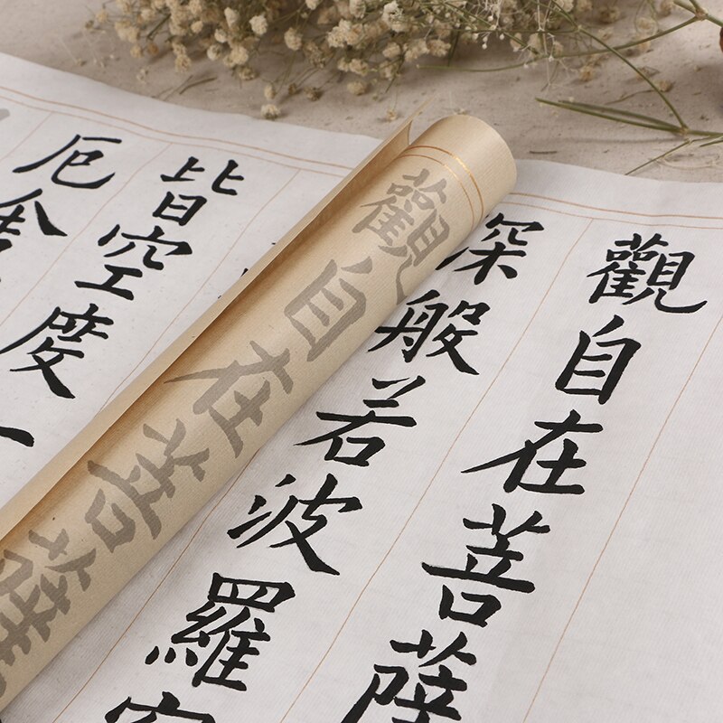 The Heart Sutra Calligraphy Copybook Ou Style Medium Regular Script Copybook Caligrafia Chinese Calligraphy Practice Copybook