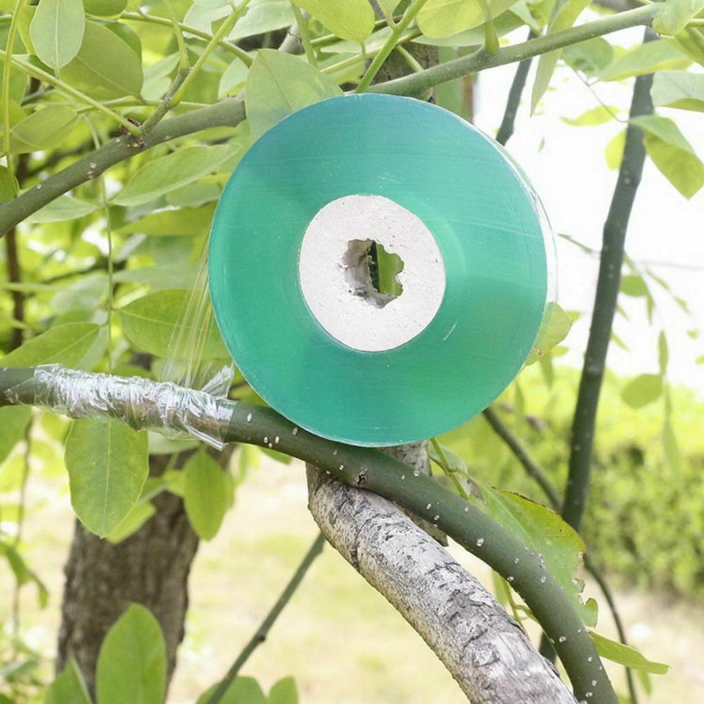 Rekbaar Zelfklevende Plant Care Tools Tuin Voor Fruit Boom