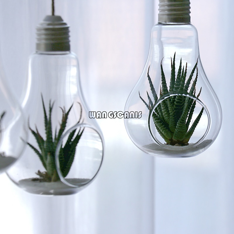 Jarrón colgante de flores para jardín, maceta de cristal, contenedor de plantas, decoración de en casa, para boda, macetas colgantes creativas, 1 ud.