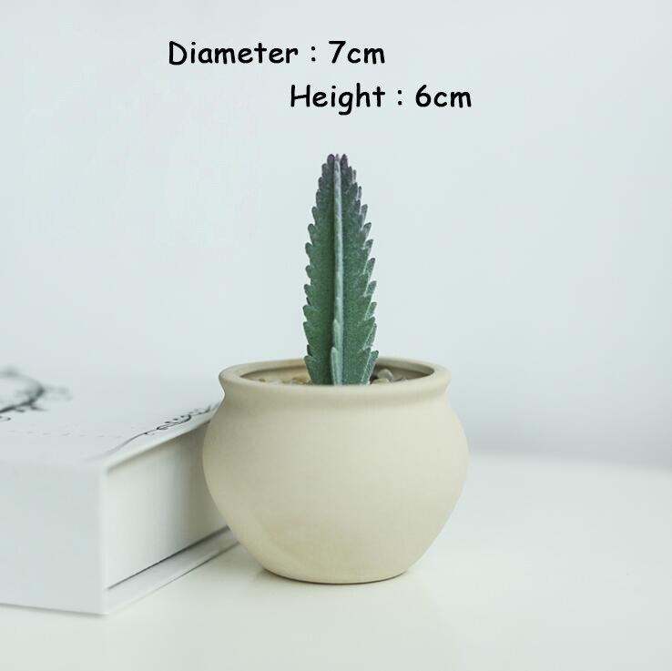 Macetas pequeñas de escritorio para hogar y oficina, maceta redonda gris para plantas, Mini soportes de cerámica para plantas, suculento de Cactus, macetas de flores: 5