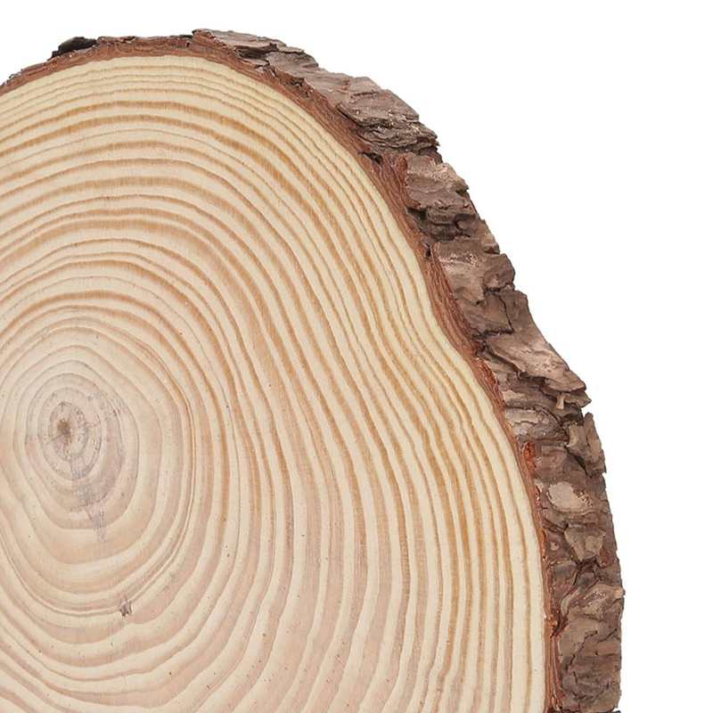 Hout Plakjes Met Schors Natuurlijke Hout Plakjes Unfinished Hout Cirkels Ornamenten Onregelmatige Hout Plakjes Met Schors Hout Cirkels