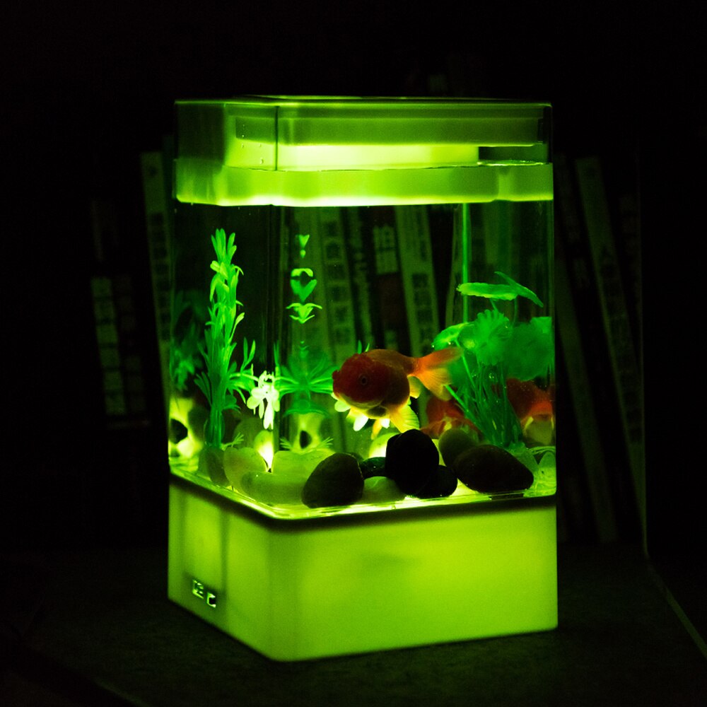 Mini acrylic ED portable fish tank aquatic pet sup... – Vicedeal