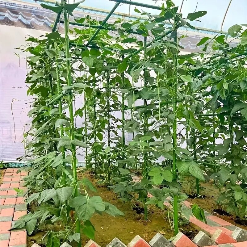 Estacas de soporte multiusos para plantas, enrejados duraderos de verduras y vid para tomates, pepinos y uvas, paquete de 20