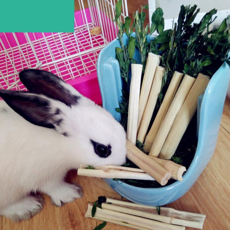 5pcs Pet Hamsters Snacks Sweet Bamboo Chew Toy for Squirrel Rabbits Guinea Pigs Chinchilla Hamster