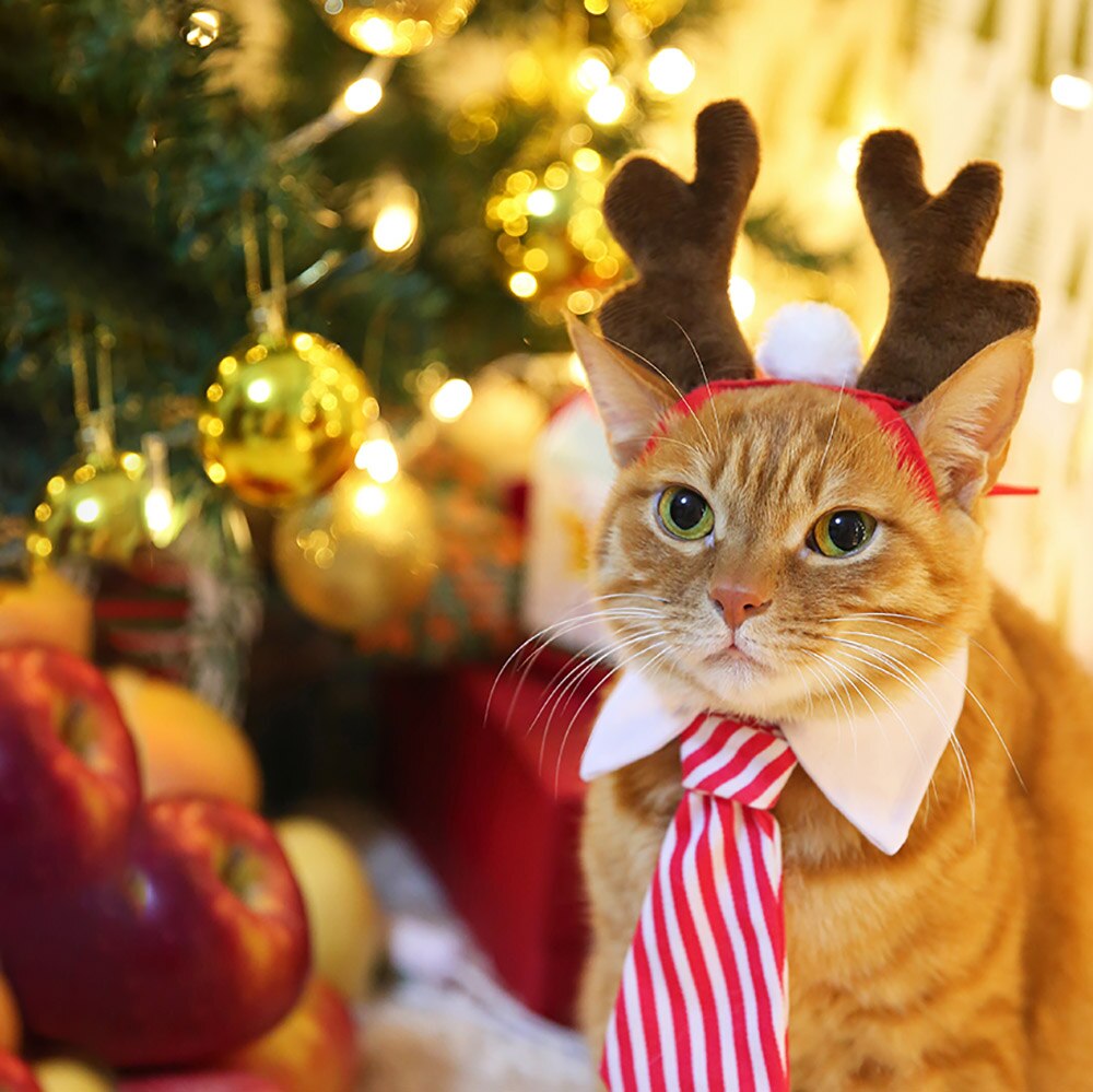 Christmas Elk Headband For Cats Hair Decorations For Dogs Cat Accessories Halloween Pet Supplies Funny Photos Props