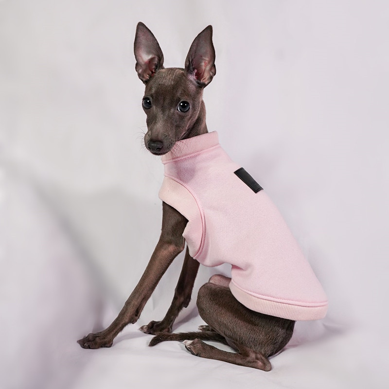 Ropa para perros pequeños, suéter de otoño e invierno cálido para lana de algodón, ropa italiana de Galgo, accesorios para perros, suministros para perros