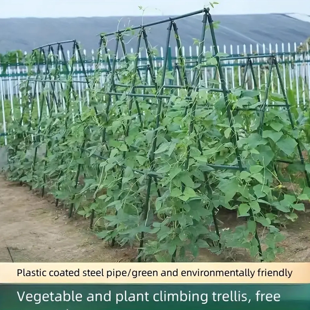 20 stuks tuin kunststof gecoate metalen plant klimpaal ondersteuningsframe, klimpaal aangesloten op de beugel bevestigingsklem Accesso