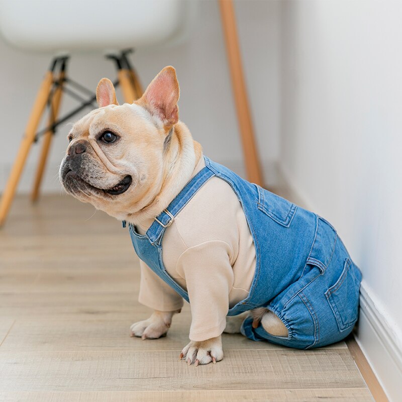 Franse Bulldog Kleding Denim Hond Kleren Jumpsuits Herfst Winter Honden Huisdieren Kleding voor Hond Jas Jas Ropa Para Perro