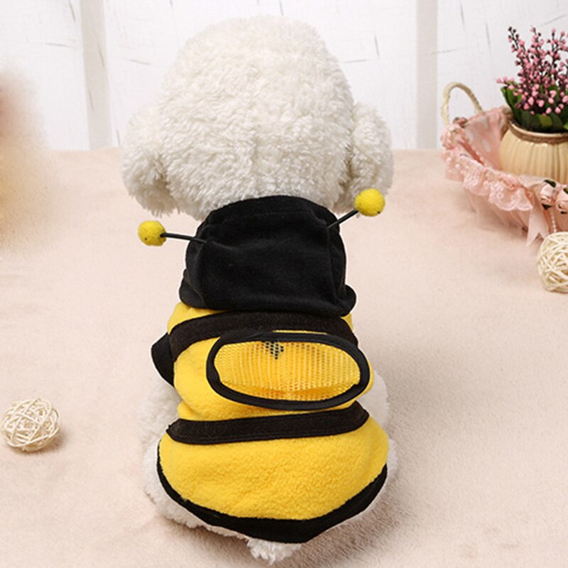 Costume pour chien et chat, manteau, mignon, bourdon, abeille, fournitures pour animaux de compagnie, L9