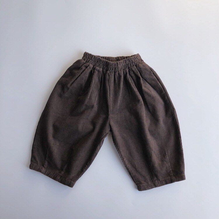 Ins Mode Kinderen Broek Herfst Winter Jongens Kinderen Broek Corduroy Broek Kinderen Kleding: Paars / 24M