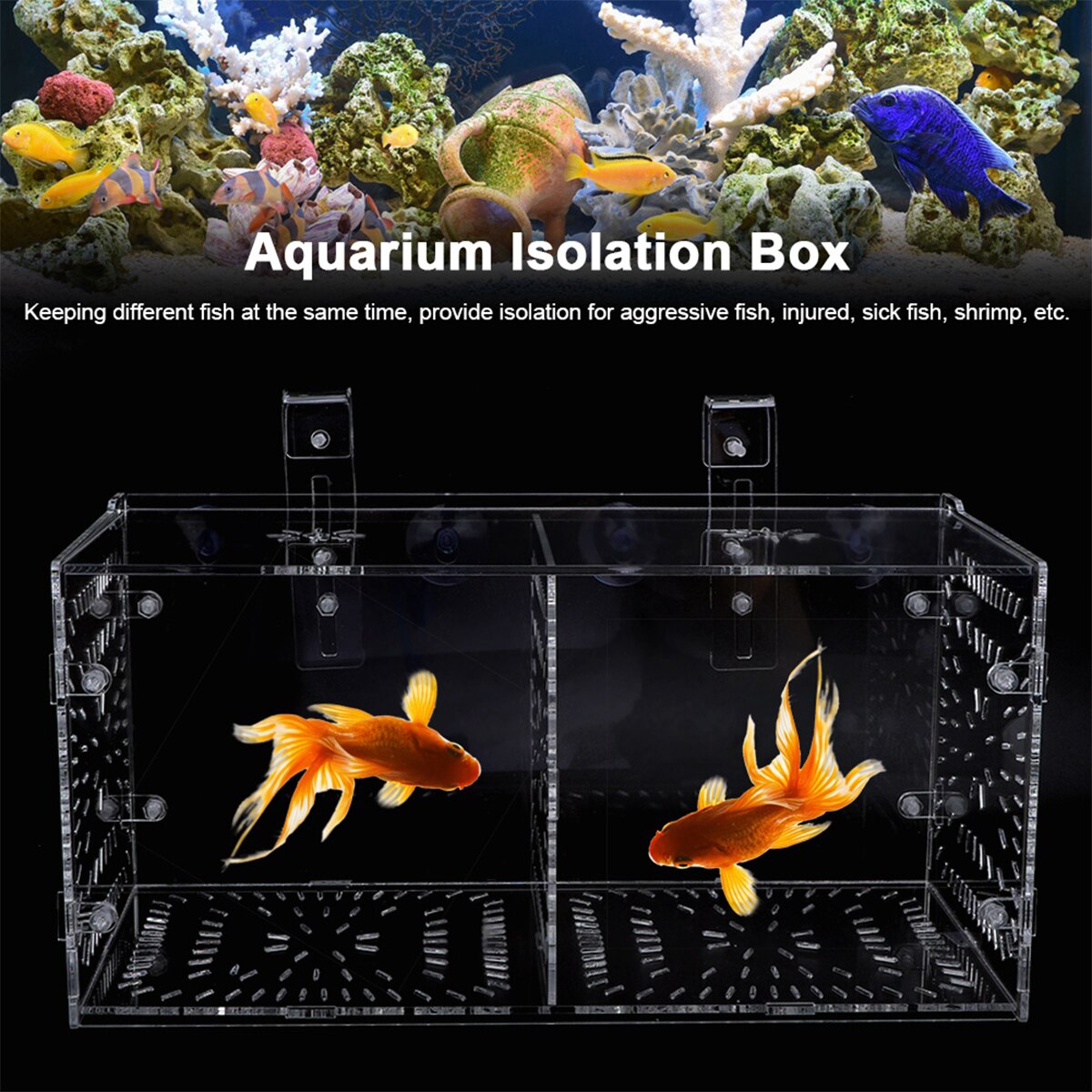 Akvarium isoleringsboks akryl fisk avlskasse fisketank rugeri inkubator med sugekopper og krog baby fisk rejer