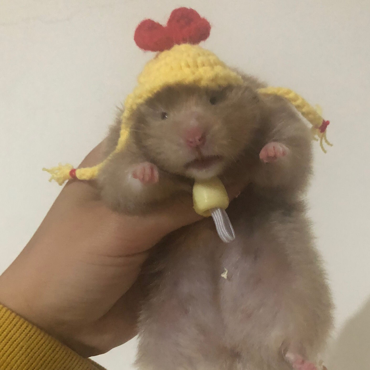 Hand Crocheted Hamster Hat Hamster Accessories Chipmunk Dwarf Rat Small Animal Hat Cute Hamster Clothes Hamster Supplies: 002