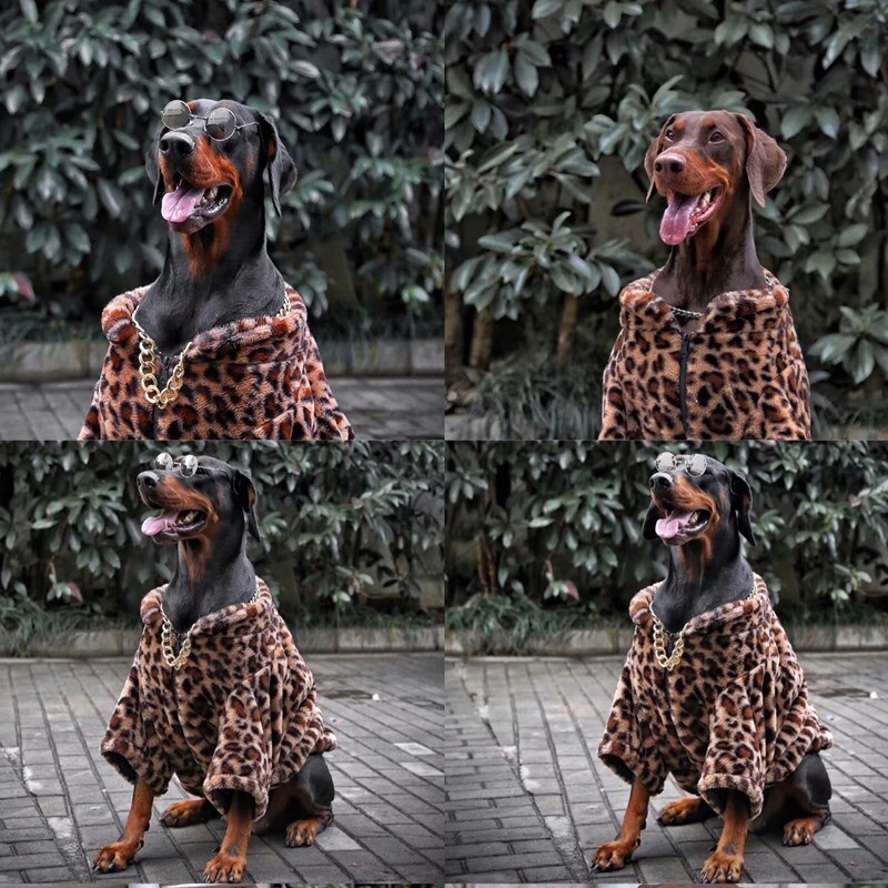 Small-large Dog Clothes Leopard Dog Coats Teddy Schnauzer Doberman Golden Retriever Husky Dog Jacket Thicken Warm Dog Clothes