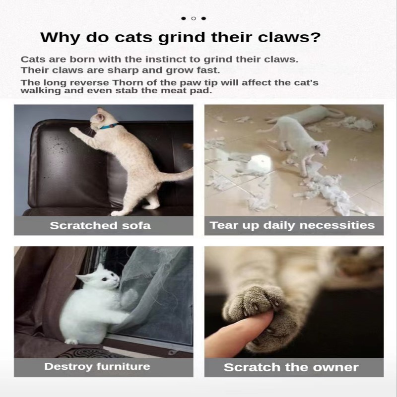 Huisdier Kat Krabben Golfkarton Slijpen Klauw Plaat + Catnip Papier Pad Klimframe Schraper Mat Kat Kartonnen Kat Speelgoed