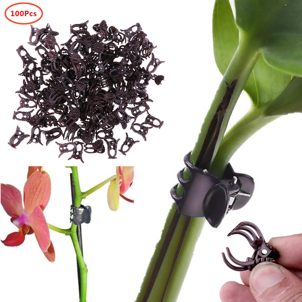 100Pcs Plastic Vine Decoration Flower Plant Support Orchid Clips Stalks Fix Hanging Garden Grow Upright Stems Grafting Tool