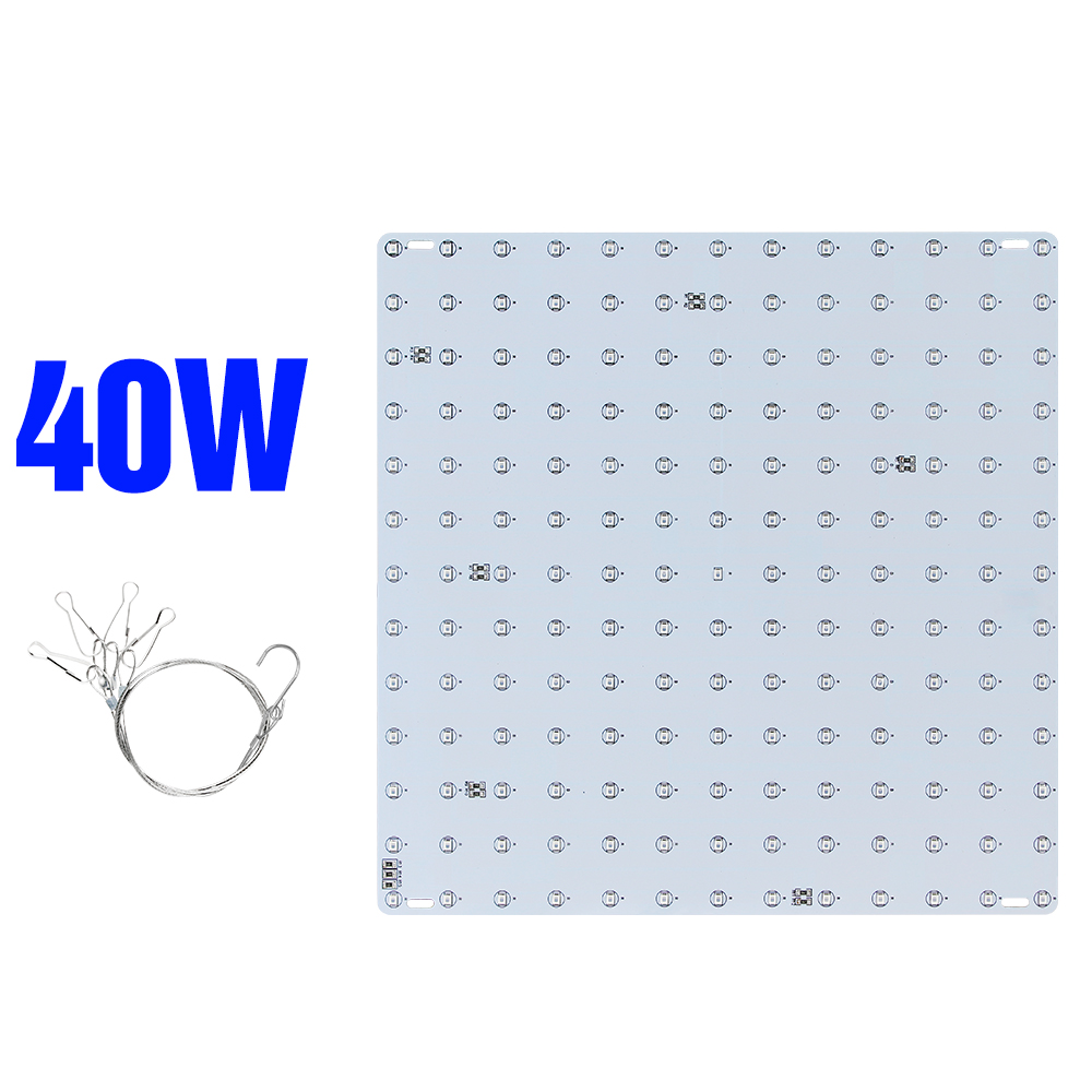 20W 40W Phytolamp Led Full Spectrum Led Licht Groeien Plant Groei Lamp 220V Kas Zaailing Fito Licht led Bloem Zaad Lampada: 40W-169leds / US plug