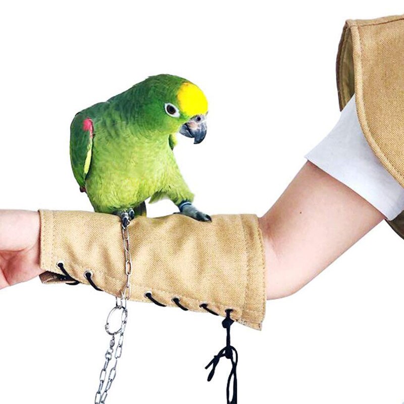 Papegøjer anti-rids skulderbeskyttere hænge fugle fodlænke legetøj multifunktionel kæledyr skulderpude  k888: Gul armbeskyttelse