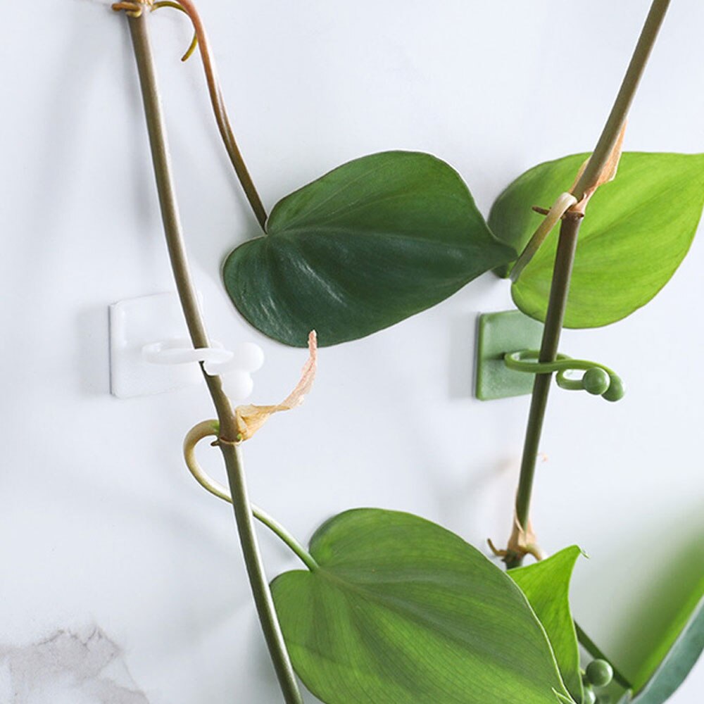 10pcs Invisible Wall Fixture Ties Durable Garden Plant Folder Grow Kits Resin Sticky Hook Holder Self-Adhesive Portable Tree