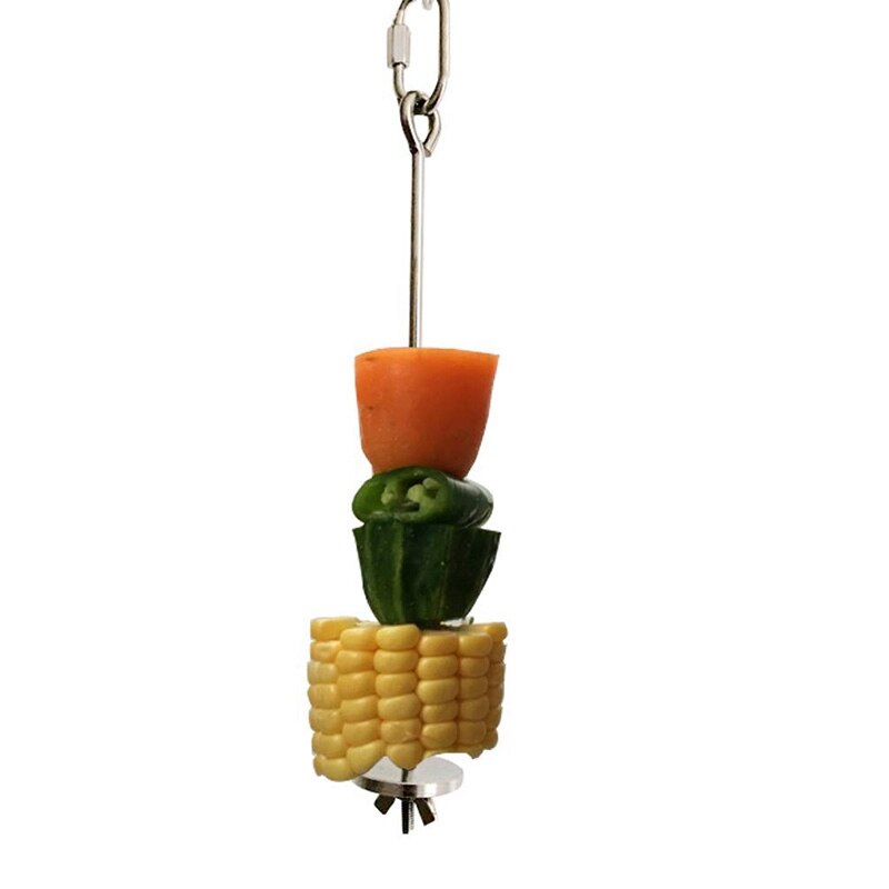 LELE LIFE 5 Stks Vogelkooi Voedselhouder, Opknoping Papegaai Fruit Groente Spies Roestvrij Staal Vogelfoerspeelgoed Vogelkooi Feeder voor Parkiet