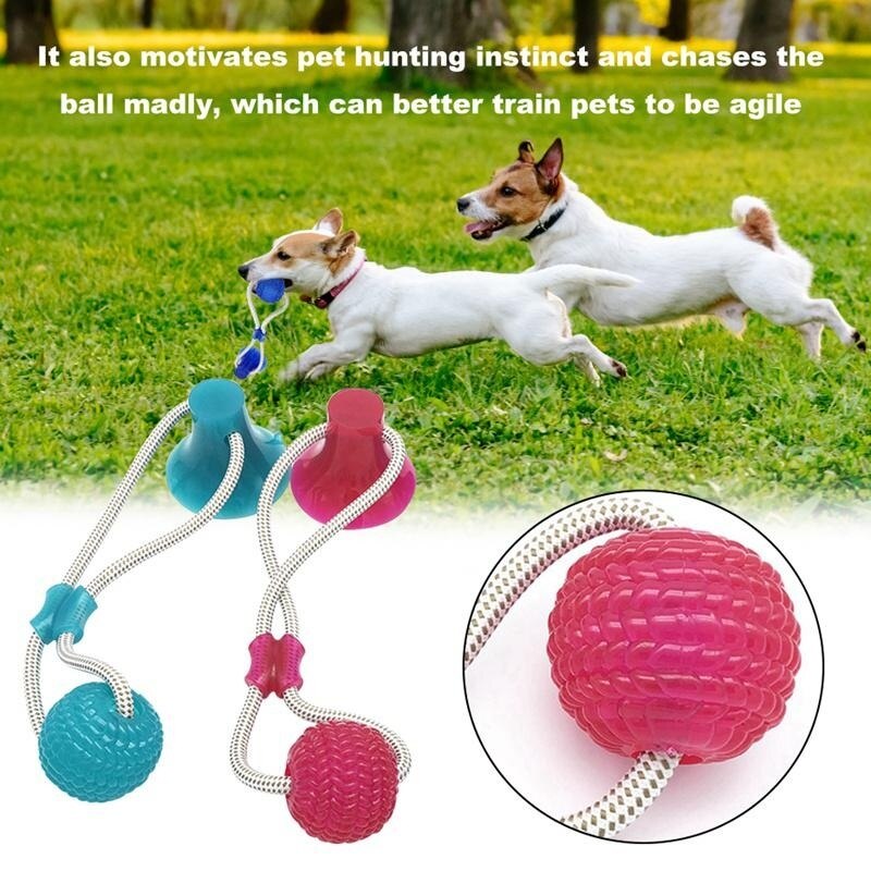 Jouets pour chiens en caoutchouc ventouse chien jouets balle pour animaux de compagnie remorqueur drôle jouet à mâcher dents nettoyage chiot Animal jouet remorqueur corde support fournitures pour animaux de compagnie