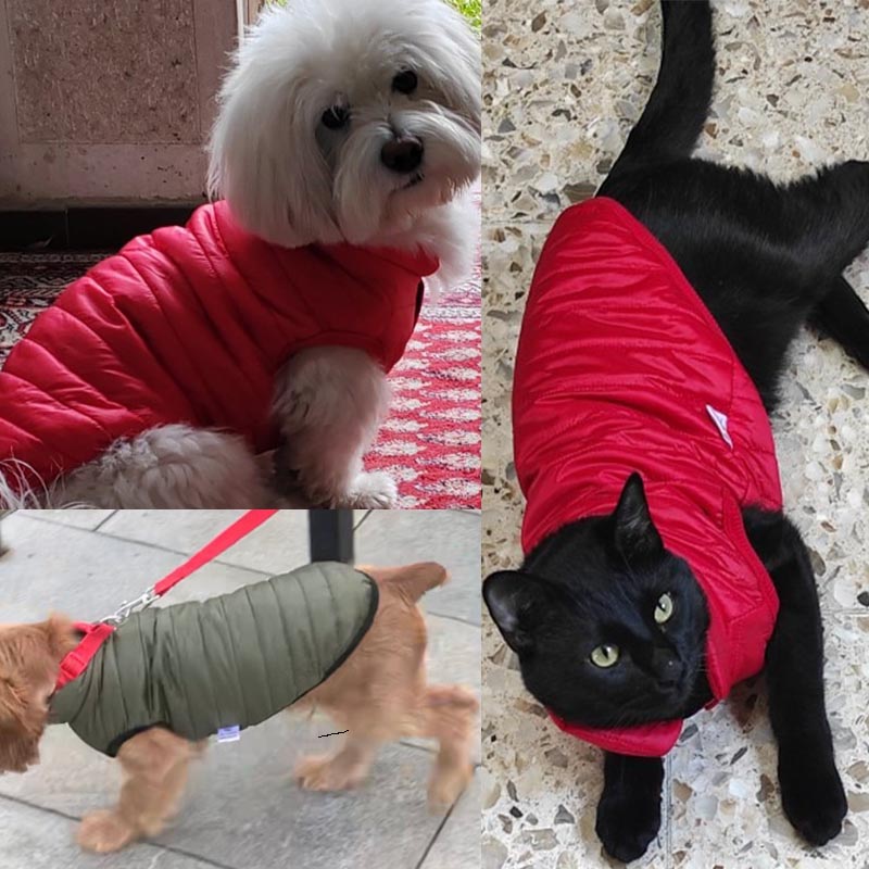 Ropa cálida para perros pequeños, chaleco cálido de invierno para mascotas, chaqueta para perros, chaleco para cachorros de Bulldog Francés, ropa para Chihuahua, traje, abrigo para Yorkies