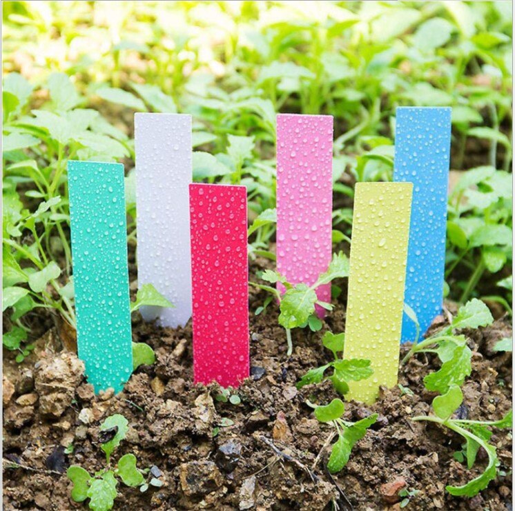 100 PCS Color Garden Inserts Label For Flowers, Plants, Thickened Waterproof Fast Sun Scrub Plastic Labels