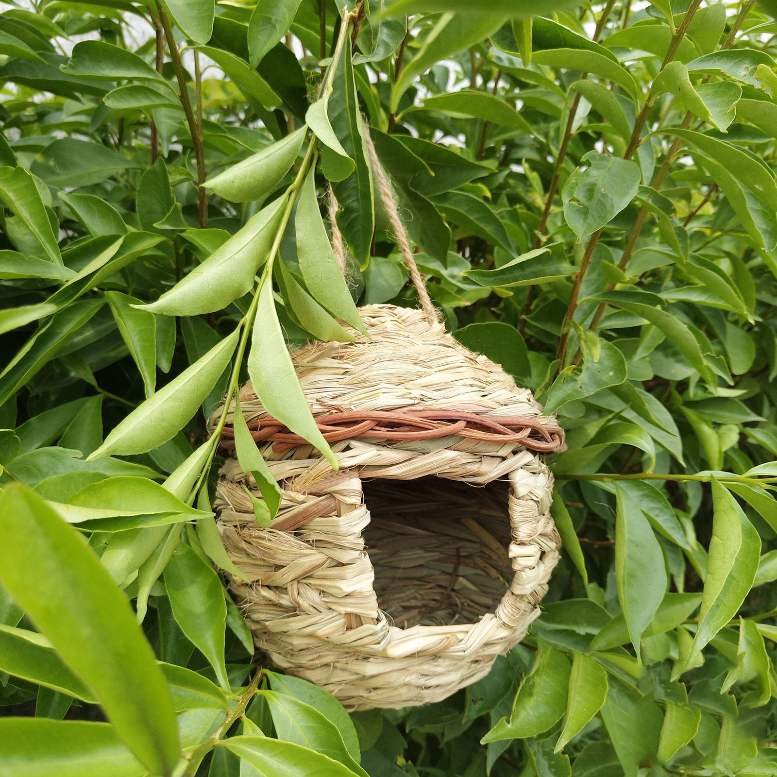 Naturalna trawa ptasie gniazdo koliber Birdhouse na zewnątrz wisząca trawa ręcznie tkane ptasie gniazdo ptasia chata na dekoracja obejścia