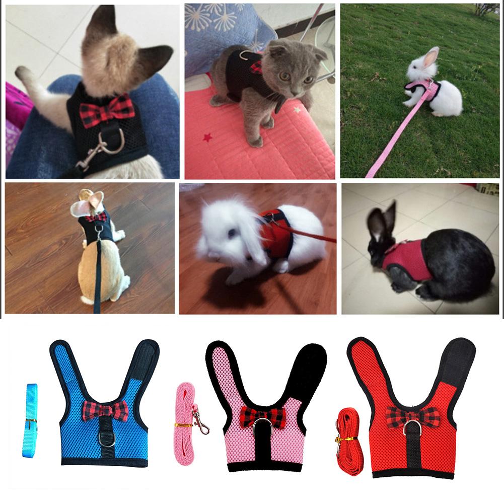 Arnés de chaleco para hámster de conejos con Leas, arnés de malla para el pecho con correa para conejitos de Indias, animales pequeños, accesorios para mascotas, S/M/L