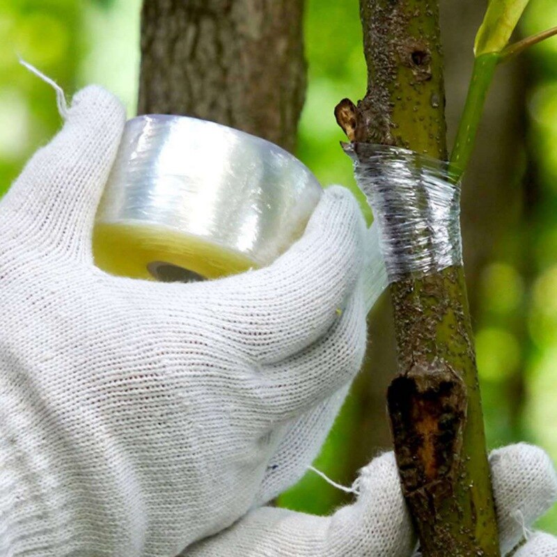 Rouleau bande de greffage Membrane | Ruban de greffe, ruban de greffe auto-adhésif extensible, outils de réparation de semis d'arbre de fruits de jardin, tapisseur