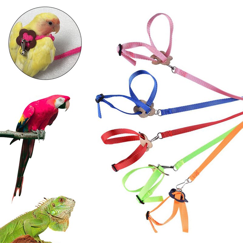 Colorful Parrot Bird Collar Harness Adjustable Hamster Turtle Lizard Traction Rope Reins 8-shaped Collar Pet Strap Leash