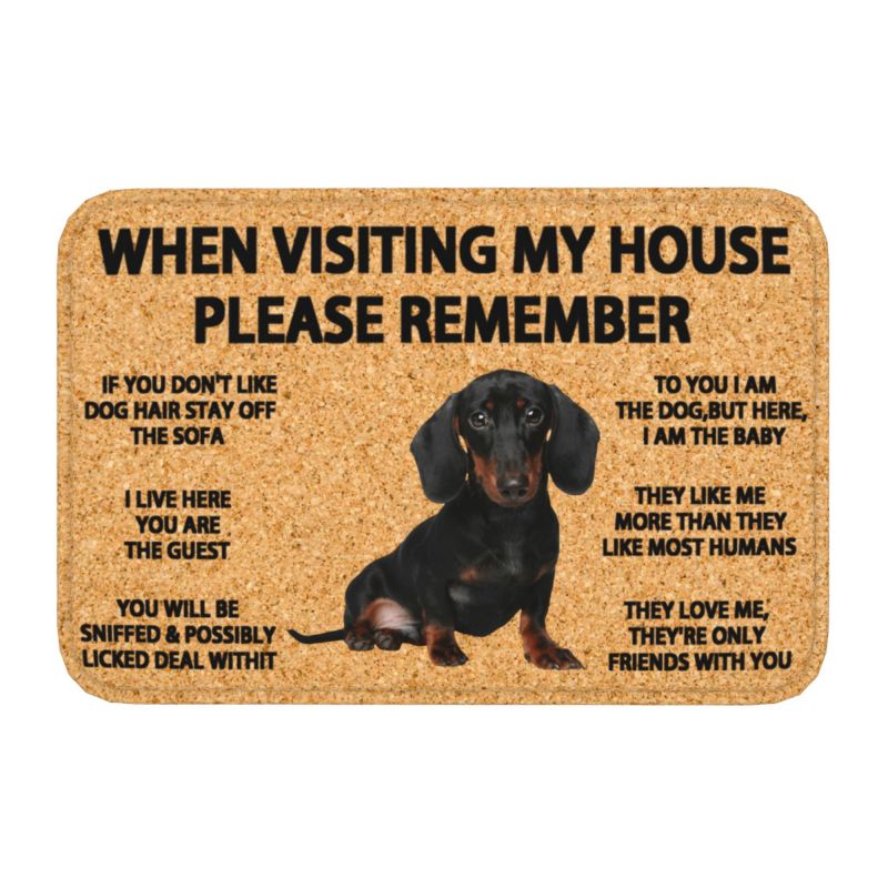 Please Remember English Bulldog Doormat Non-Slip Bathroom Kitchen Mat Living Room Door Floor Entrance Carpet Rug: Blue