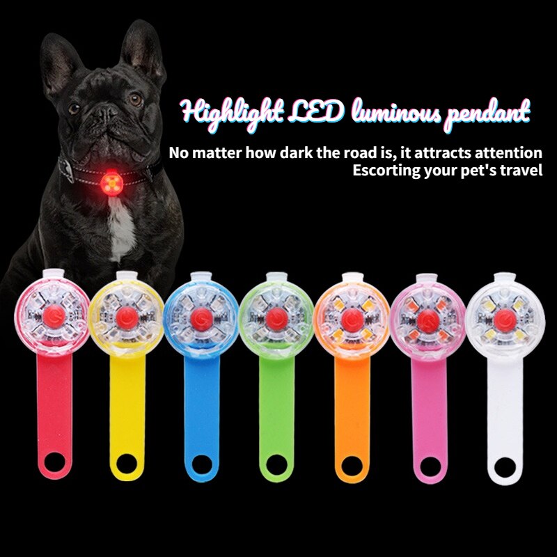 Collier lumineux LED avec chargeur USB pour chien, pendentif de nuit, accessoires Anti-perte, étiquette lumineuse pour chien