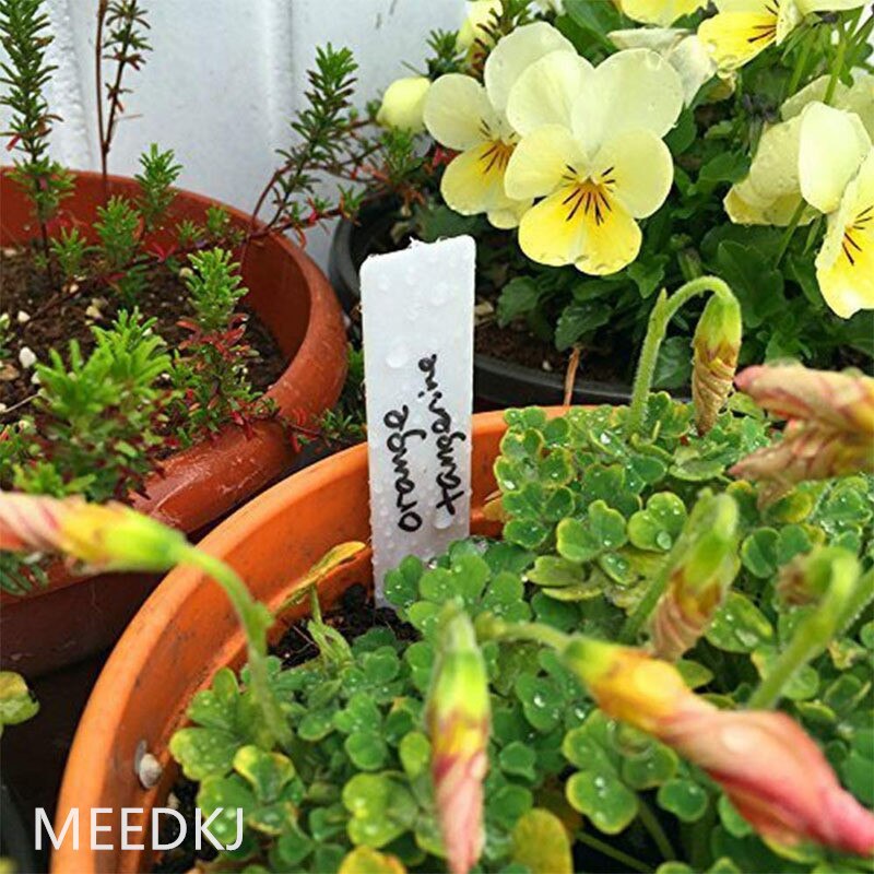 100pcs 10x2cm Garden Label Inserted Plant Labels Plant Labels