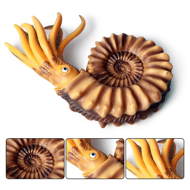 FBIL-Simulatie Mariene Leven Model Schelp Nautilus Shell Pop Decoratie