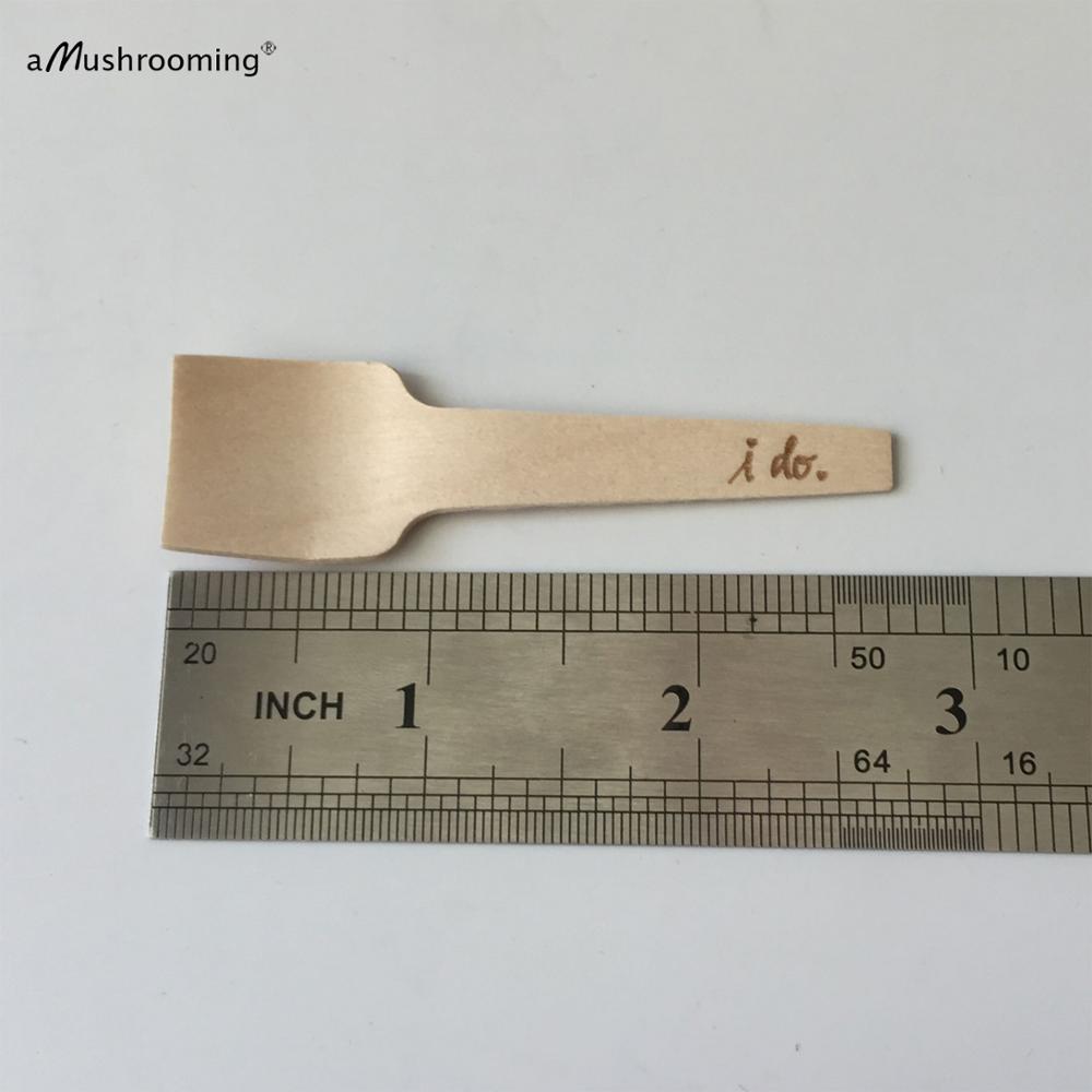 100x Composteerbaar Bestek Sampling Yoghurt Lepel, Vierkante End Proeverij Lepel, Ijs Lepel Bestek Bestek Berken Dessert Bar: 7cm flat spoons / Personalized