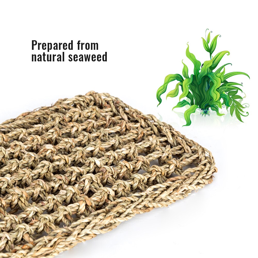 40X17cm Reptile Terrarium For Lizard Lounger Hammock Small Hermit Crabs Geckos Bed Mats Pet Reptile Mat Decor