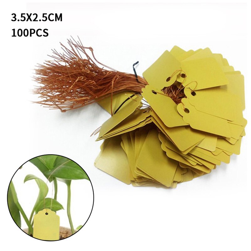 100Pcs Kleurrijke Plant Markers Tuin Bonsai Succulent Seedings Tags Teken Pvc Tuinieren Labels Stake Op Bodem Verf Sticks: yellow