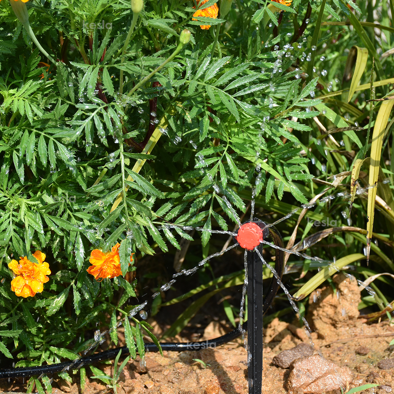 KESLA 5M-35M Micro Irrigazione a goccia Kit di Irrigazione Automatico Giardino Prato Serra Sistema di Irrigazione e Atomizzatore Gocciolatore Regolabile
