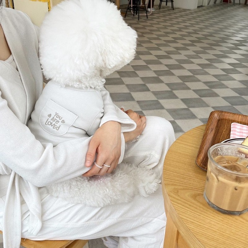 Autumn Winter Thin Warm Dog Pullover Solid Dog Hoodies Pet Vest Girls Dog Costume Chihuahua Bichon Clothing Letter Cat Dog Shirt: XL / black
