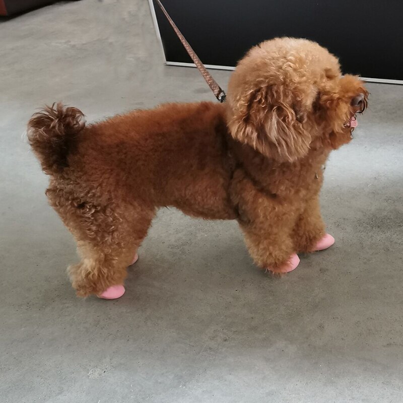 4 st/set husdjur stövlar strumpor vattentät gummi regn hundskor halkfria utomhus valpar cachorro skor godis färg