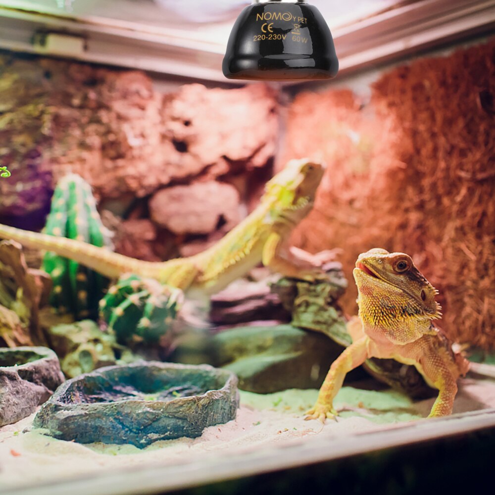 1Pc Heat Lamp Portable Lightweight Premium Heating Light Heat Emitter for Turtle