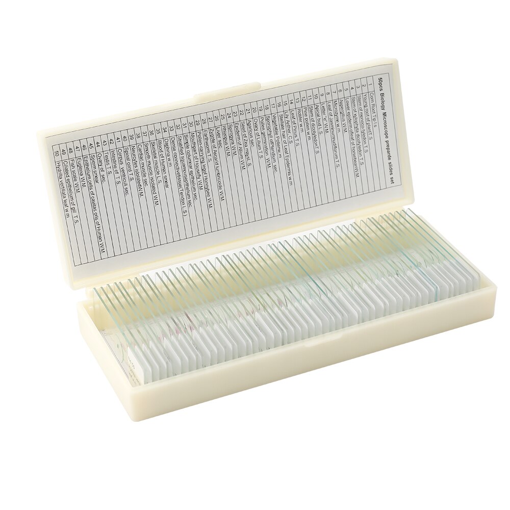 50 pièces/ensemble verre biologique échantillon préparé base animaux plantes insectes tissus Portable éducatif Microscope diapositives