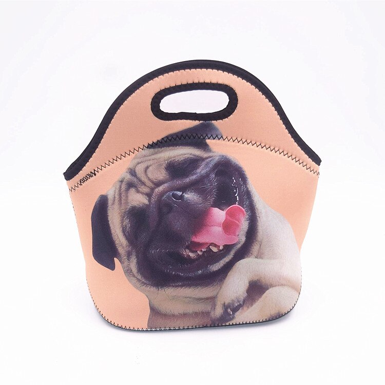 Thermische Geïsoleerde Print Neopreen Lunch Tas Voor Vrouwen Kinderen Lunch Zakken Koeler Isolatie Lunch Box Voedsel Zak