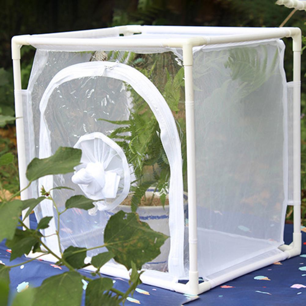 insect rearing cage plant cage Mesh Cage Wear Resistant Collapsible Plant Insect Small Animal Observation PVC stent Net Cage